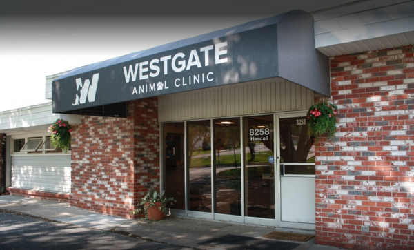westgate vet clinic